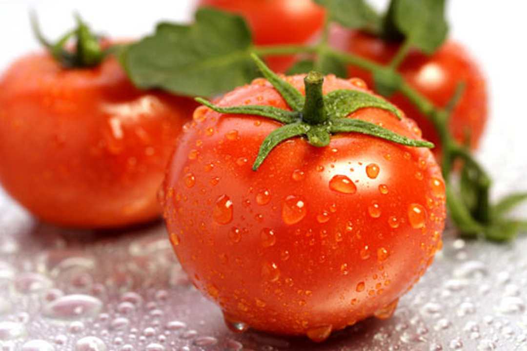 Lựa chọn được cà chua ngon thì dựa vào đặc điểm trên