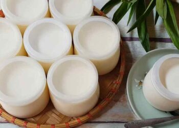 Cách làm sữa chua trắng đơn giản