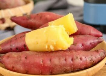 Giá trị dinh dưỡng và tác dụng của khoai lang